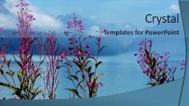  Presentation with united states - PPT theme having polar region - landscapes of alaska united states background and a  colored foreground