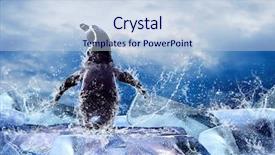  Presentation with water drops - Colorful PPT theme enhanced with polar region - penguin on the ice backdrop and a lemonade colored foreground