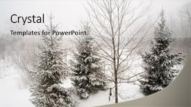  Presentation with fog - PPT theme enhanced with polar vortex ice fog background and a white colored foreground