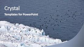  Presentation with ocean - Audience pleasing PPT theme consisting of pole land ice - aerial view of glaciers flowing backdrop and a  colored foreground