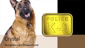  Presentation with german - Presentation enhanced with police dog - german shepard isolated on white background and a coral colored foreground
