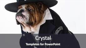  Presentation with police dog - Slide deck having police officer or dog catcher background and a dark gray colored foreground