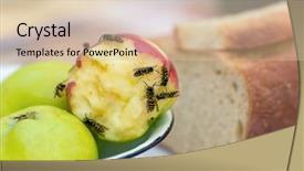  Presentation with apple watch s4 - Slides with polinatio fruit bees - macro of wasps eating background and a lemonade colored foreground