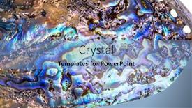  Presentation with abalone - Amazing slides having polished-paua-abalone-sea-shell backdrop and a light blue colored foreground