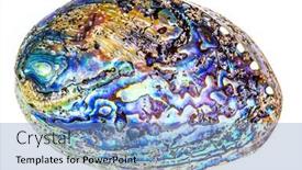  Presentation with abalone - Slide deck featuring polished-paua-abalone-sea-shell background and a teal colored foreground