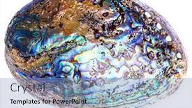  Presentation with sea shell - Slide deck consisting of polished-paua-abalone-sea-shell background and a teal colored foreground