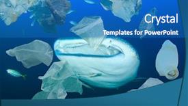  Presentation with ocean shark - Audience pleasing slide deck consisting of poliuation - plastic ocean pollution whale shark backdrop and a teal colored foreground