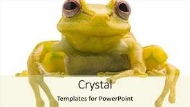  Presentation with amazon forest rainforest in brazil - Audience pleasing presentation theme consisting of polka dot tree frog hypsiboas backdrop and a blonde colored foreground