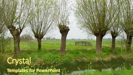  Presentation with dutch bank - PPT theme with pollard willows in dutch landscape background and a tawny brown colored foreground