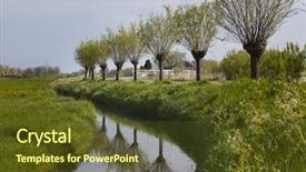  Presentation with willow tree - Presentation theme featuring pollarded willow trees near background and a tawny brown colored foreground