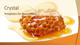  Presentation with honeycomb - Theme consisting of pollen - wild honeycomb in closeup background and a cream colored foreground