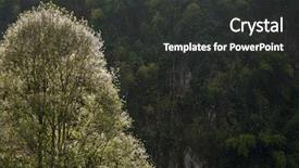  Presentation with pollen - Slide deck enhanced with pollen from the blooming tree background and a dark gray colored foreground