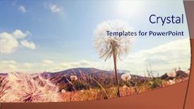  Presentation with dandelion - Theme having pollination - dandelion background and a sky blue colored foreground