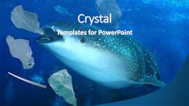  Presentation with shark - Cool new PPT theme with polluter - plastic ocean pollution whale shark backdrop and a teal colored foreground