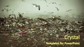  Presentation with birds flying - Amazing presentation theme having pollution - apocalyptic scene of birds flying backdrop and a tawny brown colored foreground