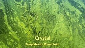  Presentation with green algae - Audience pleasing PPT layouts consisting of pollution - green algae on the surface backdrop and a tawny brown colored foreground