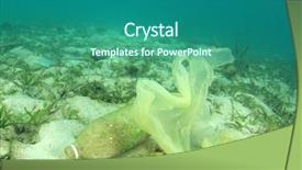  Presentation with plastic bags - Audience pleasing presentation consisting of pollution - plastic water bottles and carrier backdrop and a ocean colored foreground
