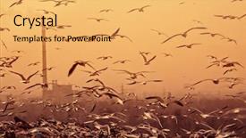  Presentation with birds - Slides enhanced with polution - apocalyptic background with birds industrial background and a yellow colored foreground