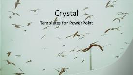  Presentation with birds flying - Colorful PPT theme enhanced with polution - apocalyptic scene of birds flying backdrop and a light gray colored foreground