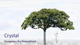  Presentation with solution - Amazing slide set having polution - forestation as ecologyy solution mixed backdrop and a sky blue colored foreground