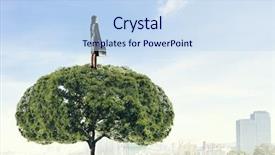  Presentation with solution - Beautiful presentation theme featuring polution - forestation as ecologyy solution mixed backdrop and a sky blue colored foreground