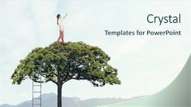  Presentation with modern medicine cardiology concept mixed - Audience pleasing PPT theme consisting of polution - forestation as ecologyy solution mixed backdrop and a sky blue colored foreground