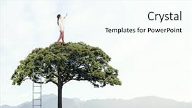  Presentation with solution - PPT theme consisting of polution - forestation as ecologyy solution background and a cool aqua colored foreground