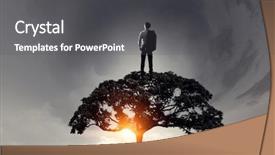  Presentation with solution - Cool new slide deck with polution - forestation as ecologyy solution backdrop and a dark gray colored foreground