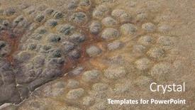  Presentation with tundra - Slide set with polygonal-tundra-landscape-in-summer background and a coral colored foreground