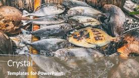  Presentation with bbq picnic - Beautiful theme featuring polynesian-fish-bbq-traditional-french backdrop and a coral colored foreground