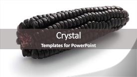  Presentation with corn purple - Amazing slides having polyphenols - peruvian purple corn chicha morada backdrop and a dark gray colored foreground