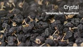  Presentation with dry - PPT layouts with polysaccharides - dry lycium ruthenicum background and a dark gray colored foreground