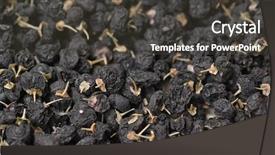  Presentation with dry - Beautiful theme featuring polysaccharides - dry lycium ruthenicum backdrop and a dark gray colored foreground