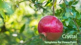  Presentation with pomegranate fruit - Colorful slide set enhanced with pomegeranate - ripe pomegranate fruit backdrop and a tawny brown colored foreground