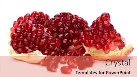  Presentation with pomegranate - PPT layouts consisting of pomegranate-isolated-on-white-background background and a coral colored foreground