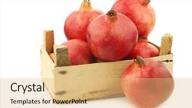  Presentation with pomegranate - Theme featuring pomegranate punica granatum background and a coral colored foreground