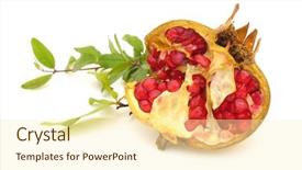  Presentation with pomegranate - Presentation featuring punica granatum - pomegranate with leaves background and a cream colored foreground
