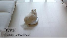  Presentation with robotic - Beautiful presentation theme featuring pomeranian dog sit on robotic backdrop and a light gray colored foreground