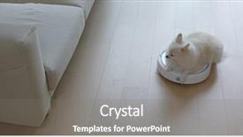  Presentation with robotic - Presentation theme consisting of pomeranian dog sit on robotic background and a gray colored foreground