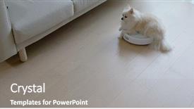  Presentation with robotic - Beautiful slide set featuring pomeranian dog sit on robotic backdrop and a gray colored foreground