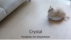  Presentation with robotic - Slide deck with pomeranian dog sit on robotic background and a light gray colored foreground