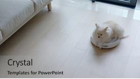  Presentation with slides - Amazing presentation theme having pomeranian dog sit on robotic backdrop and a light gray colored foreground