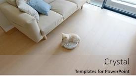  Presentation with robotic - Colorful PPT layouts enhanced with pomeranian-dog-sit-on-robotic backdrop and a light gray colored foreground