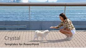  Presentation with walk - Cool new PPT theme with pomeranian-dog-walk-to-woman backdrop and a soft green colored foreground