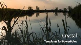  Presentation with ilegal fishing - PPT theme with pond in the reed background and a dark gray colored foreground