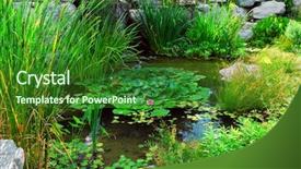  Presentation with aquatic - Audience pleasing presentation consisting of pond lanscaping with aquatic plant backdrop and a forest green colored foreground