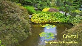  Presentation with garden pond - PPT theme consisting of pond of the japanese garden background and a  colored foreground