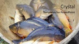  Presentation with pond - Theme enhanced with up brook trout - harvesting of pond the sorted background and a coral colored foreground