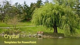  Presentation with willow tree - PPT theme with pond under a willow tree background and a  colored foreground