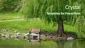  Presentation with willow tree - Colorful slides enhanced with pond under a willow tree backdrop and a tawny brown colored foreground